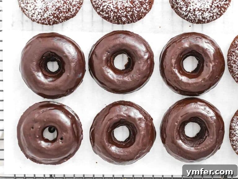 Decadent Chocolate-Coated Doughnuts 20 Chocolate glazed donuts
