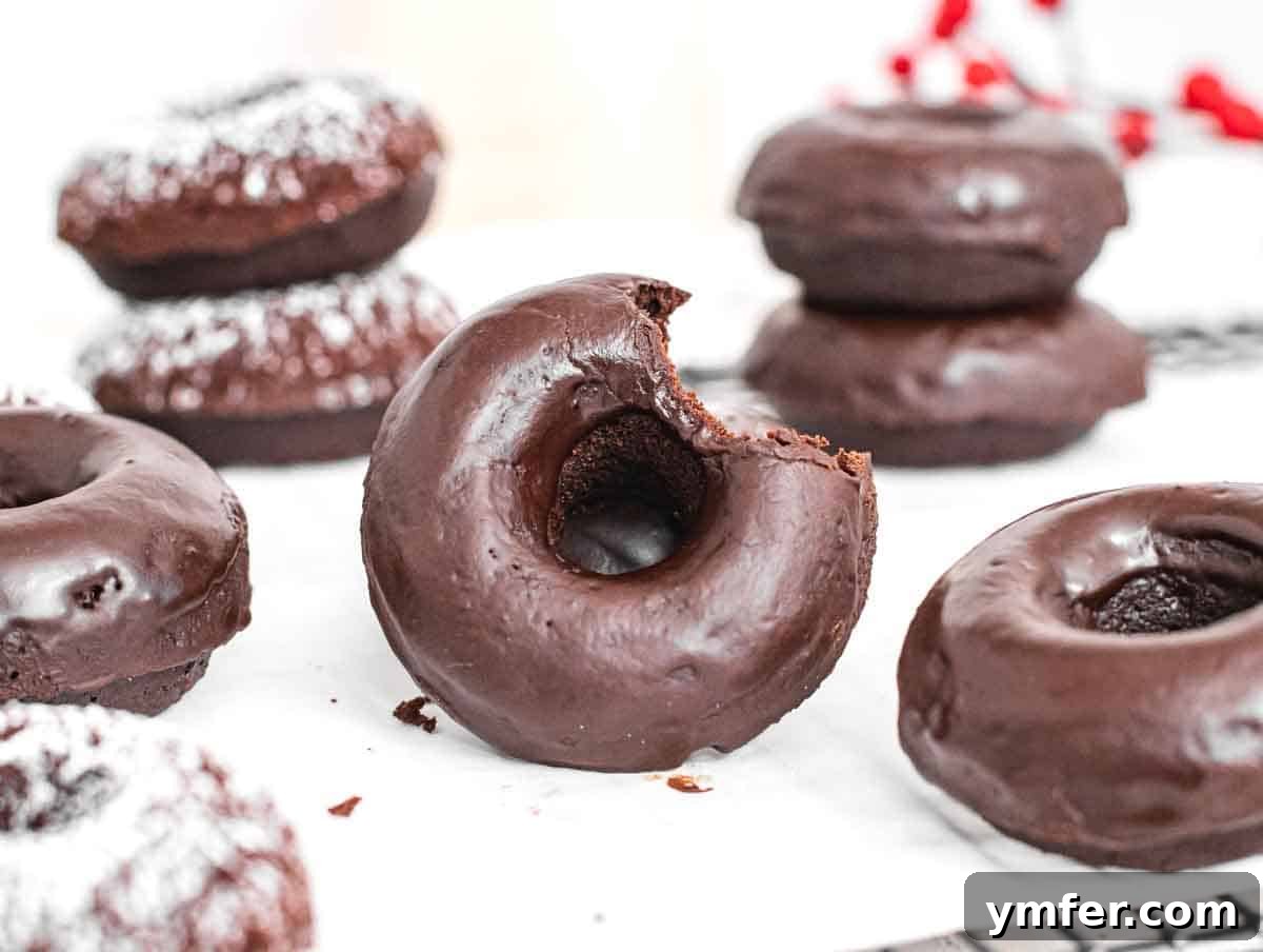 Decadent Chocolate-Coated Doughnuts 5 Chocolate donuts with bite