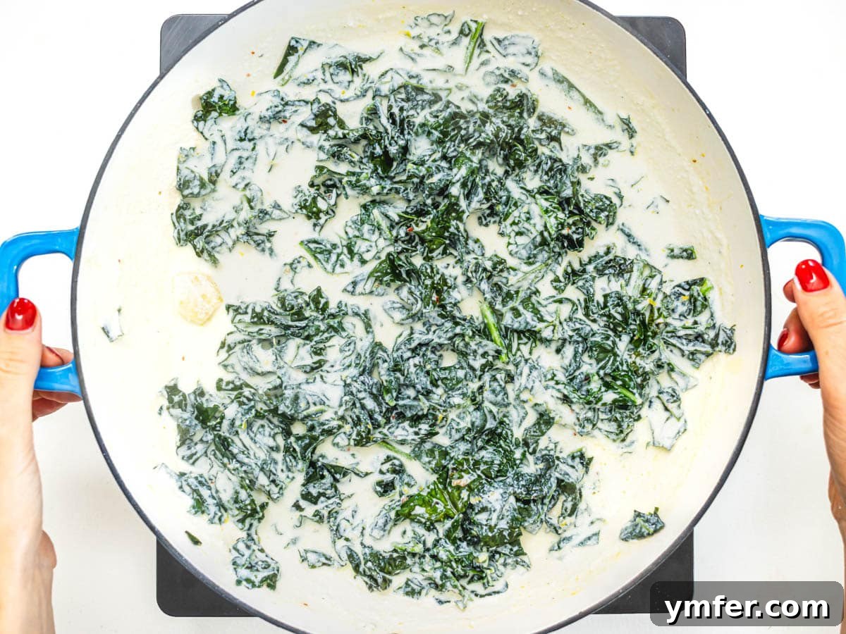 Royal Spire Sweet 10 Kale leaves mixed with creamy ricotta sauce in a skillet, with hands stirring