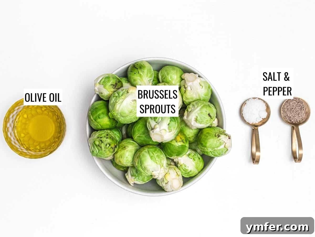 Crispy Air Fryer Brussels Sprouts 4 Brussels sprouts air fryer ingredients