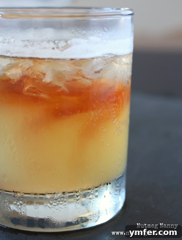 Bourbon and Ginger Ale by Nutmeg Nanny Bourbon and Ginger Ale in a glass.