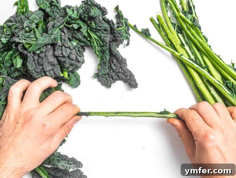 Hands demonstrating how to remove kale leaves from woody stems