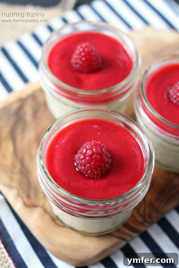 Homemade Raspberry Vanilla Rice Pudding, a creamy delight Raspberry Vanilla Rice Pudding with Fresh Berry Puree