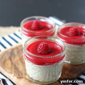 Vanilla Bean Raspberry Bliss Pudding 2 img 6646 5