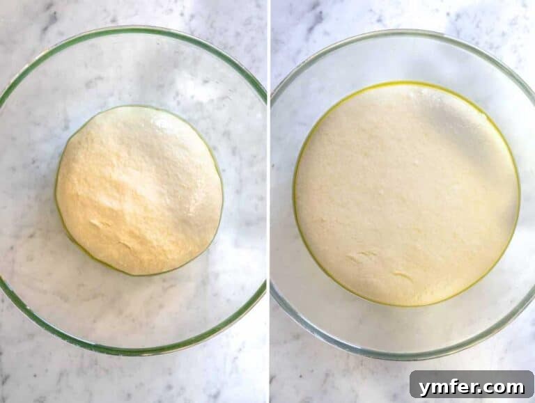 Pillowy Naan 19 Dough in a bowl before and after proofing