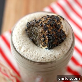 S'mores Swirl Shake 3 img 6689 5