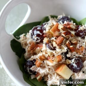 Zesty Greek Yogurt Chicken Salad 2 img 6742 7