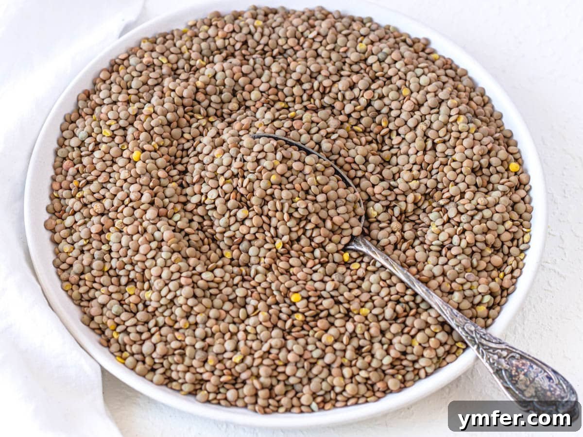 Wholesome Lentil Harvest Soup 14 dried lentils on a plate