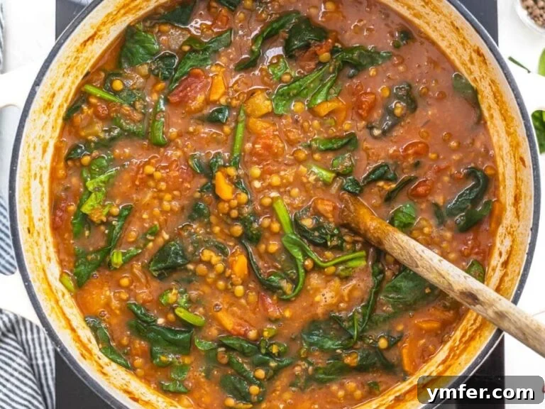 hand holding a wooden spoon and stirring spinach into a soup