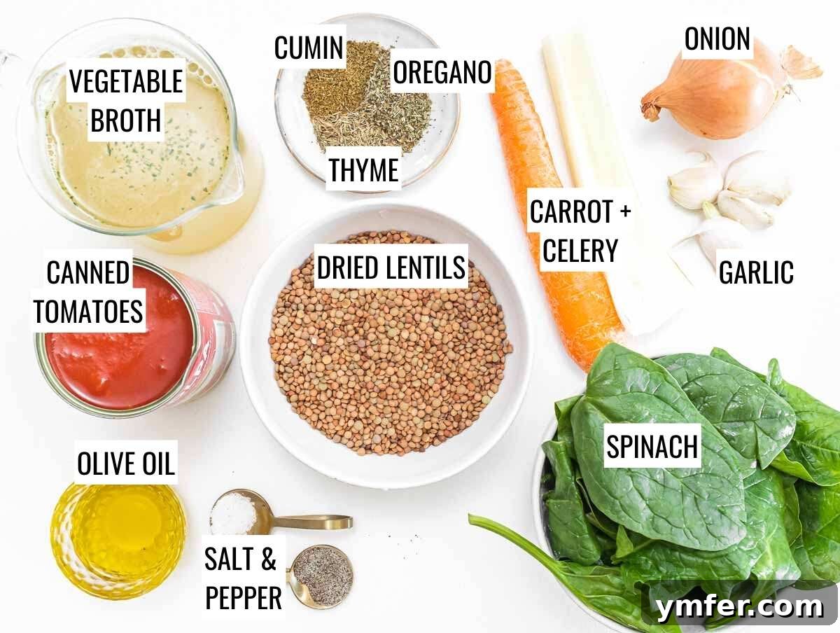Wholesome Lentil Harvest Soup 5 Lentil vegetable soup ingredients