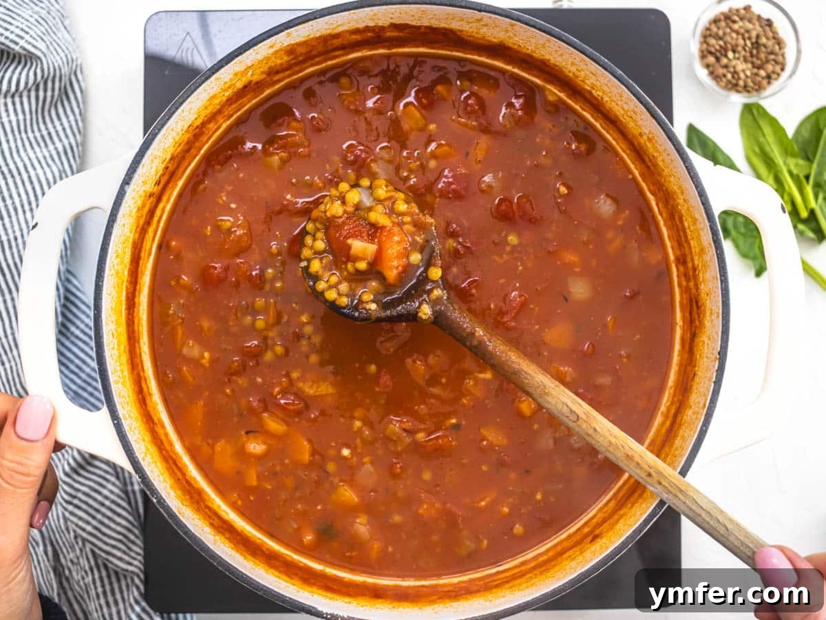 Wholesome Lentil Harvest Soup 8 lentils and vegetables in a tomato soup and hand holding a wooden spoon