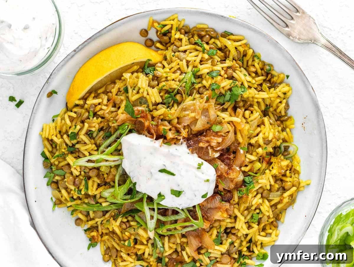 Creamy Tahini Yogurt Sauce 11 Lentil and rice mujaddara with caramelized onions and yogurt tahini sauce