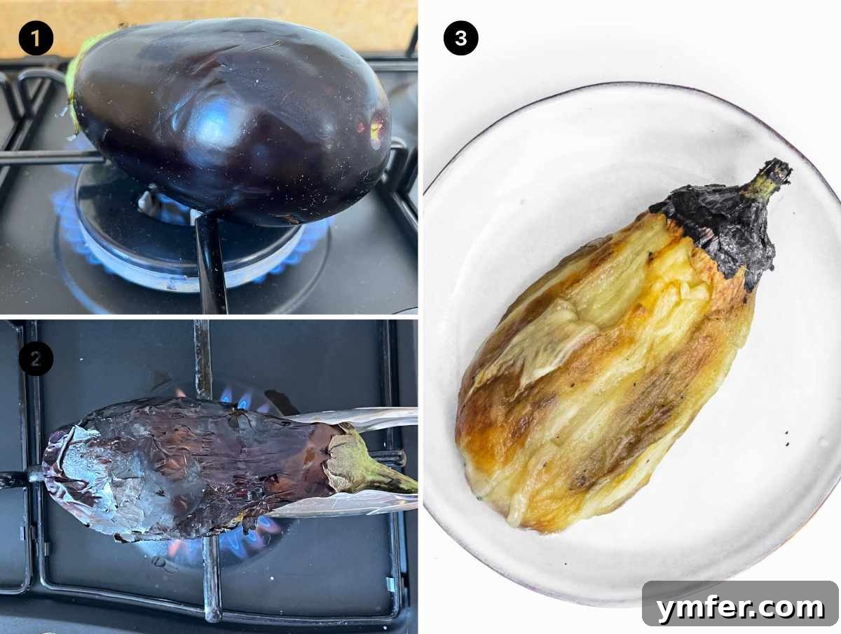 Smoky Eggplant Tahini Dip 15 how to cook eggplants on the stovetop