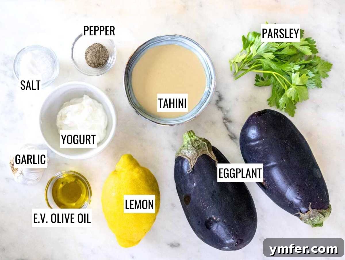 Smoky Eggplant Tahini Dip 4 ingredients for mutabal