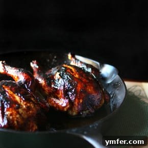 Decadent Pomegranate Molasses Glazed Cornish Hens 2 img 7282 3