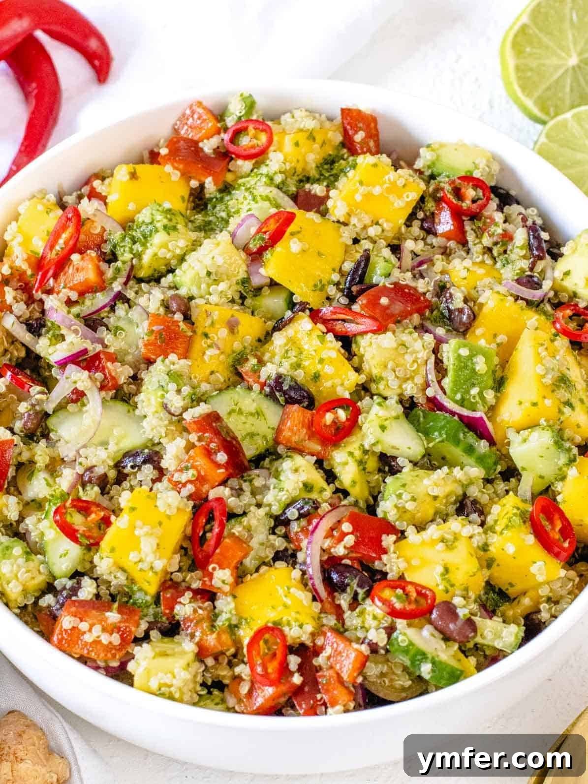 Zesty Black Bean Mango Medley 2 Vibrant Black Bean Mango Quinoa Salad with fresh ingredients