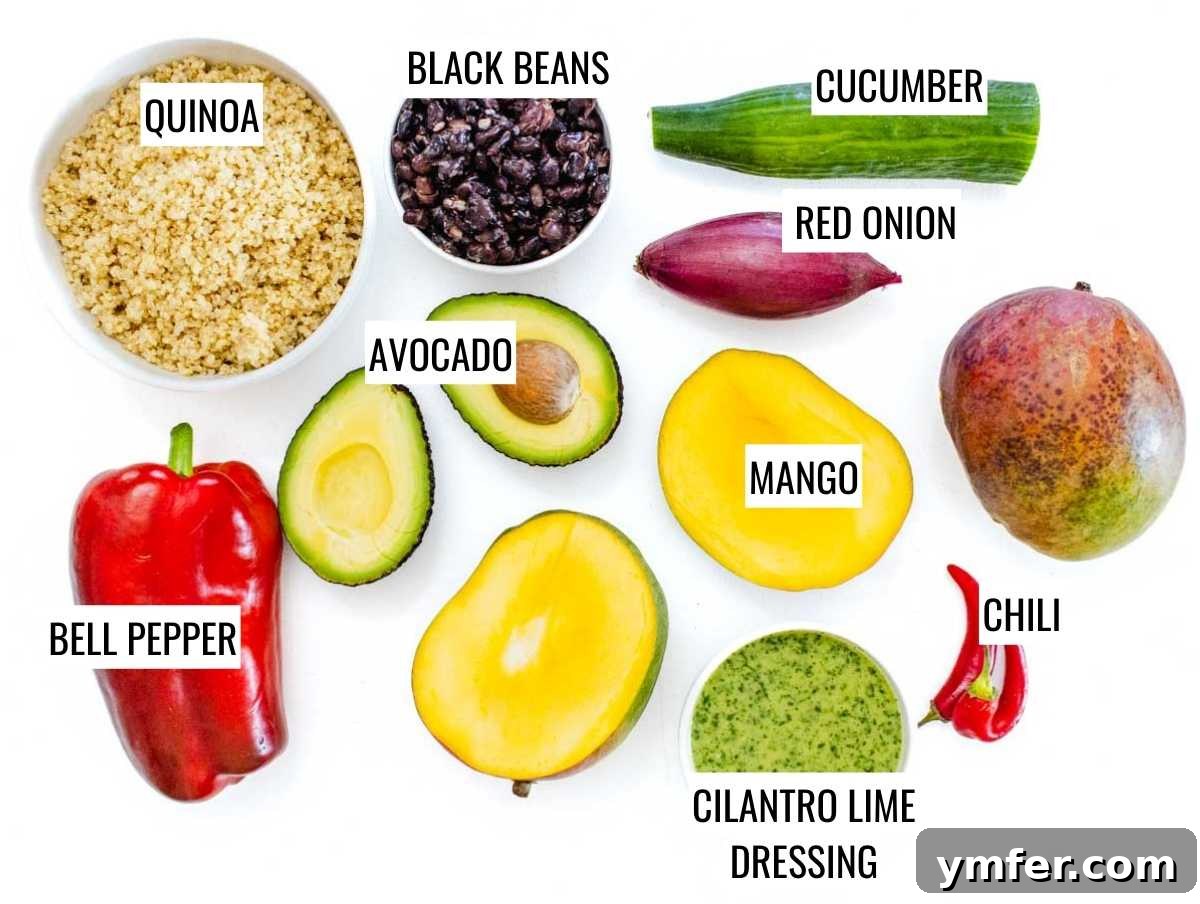 Zesty Black Bean Mango Medley 4 Fresh ingredients laid out for a healthy Black Bean Mango Quinoa Salad preparation
