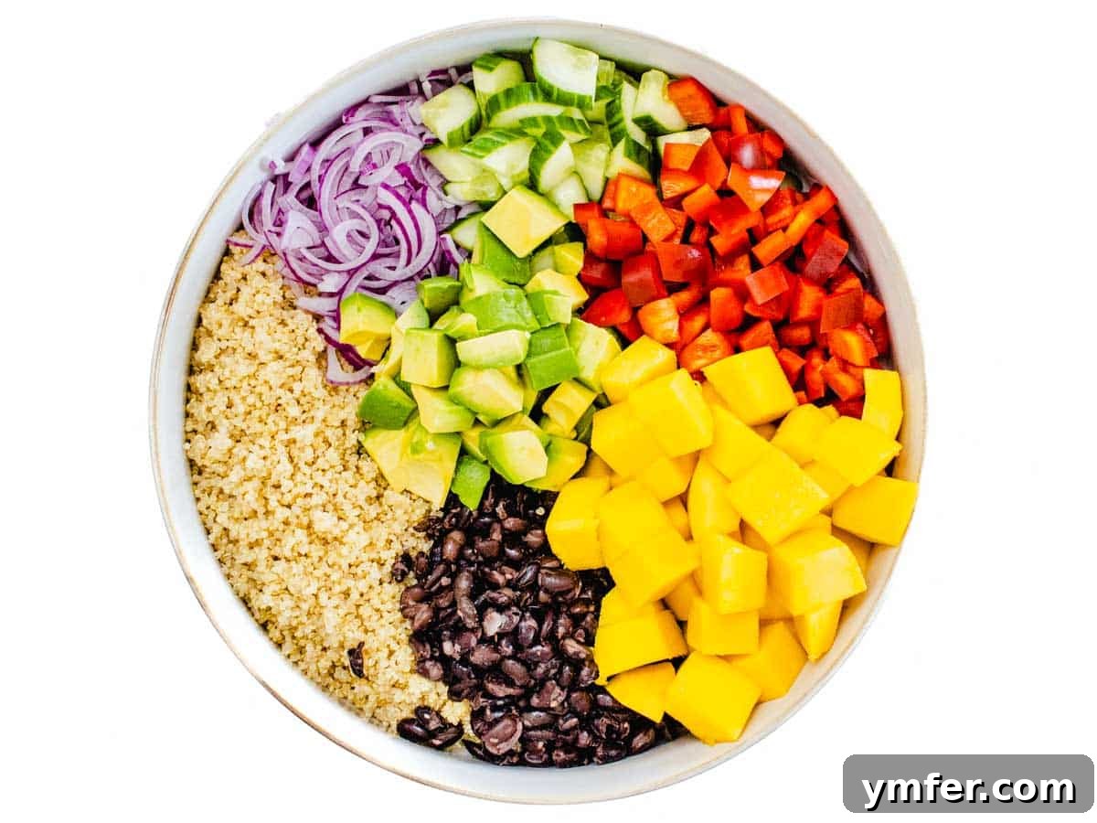 Zesty Black Bean Mango Medley 9 Bowl containing a colorful mixture of mango, black beans, and quinoa, ready for dressing
