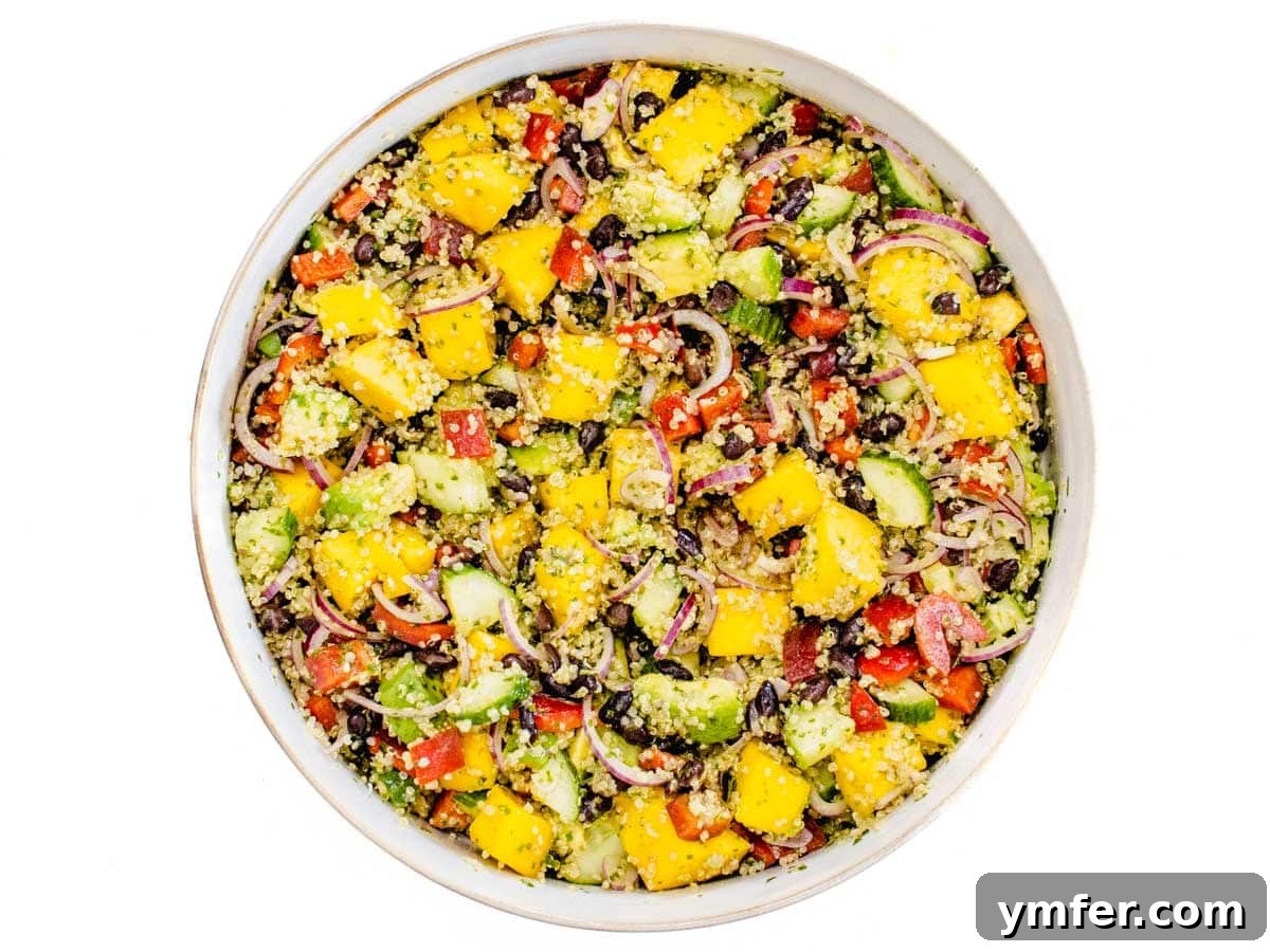 Zesty Black Bean Mango Medley 10 Black Bean Mango Quinoa Salad beautifully tossed with its dressing