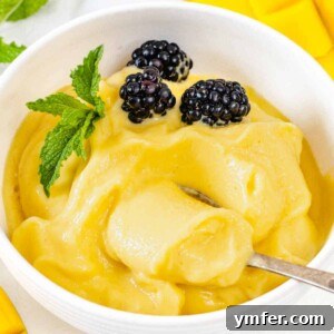 Mango sorbet with spoon and berries