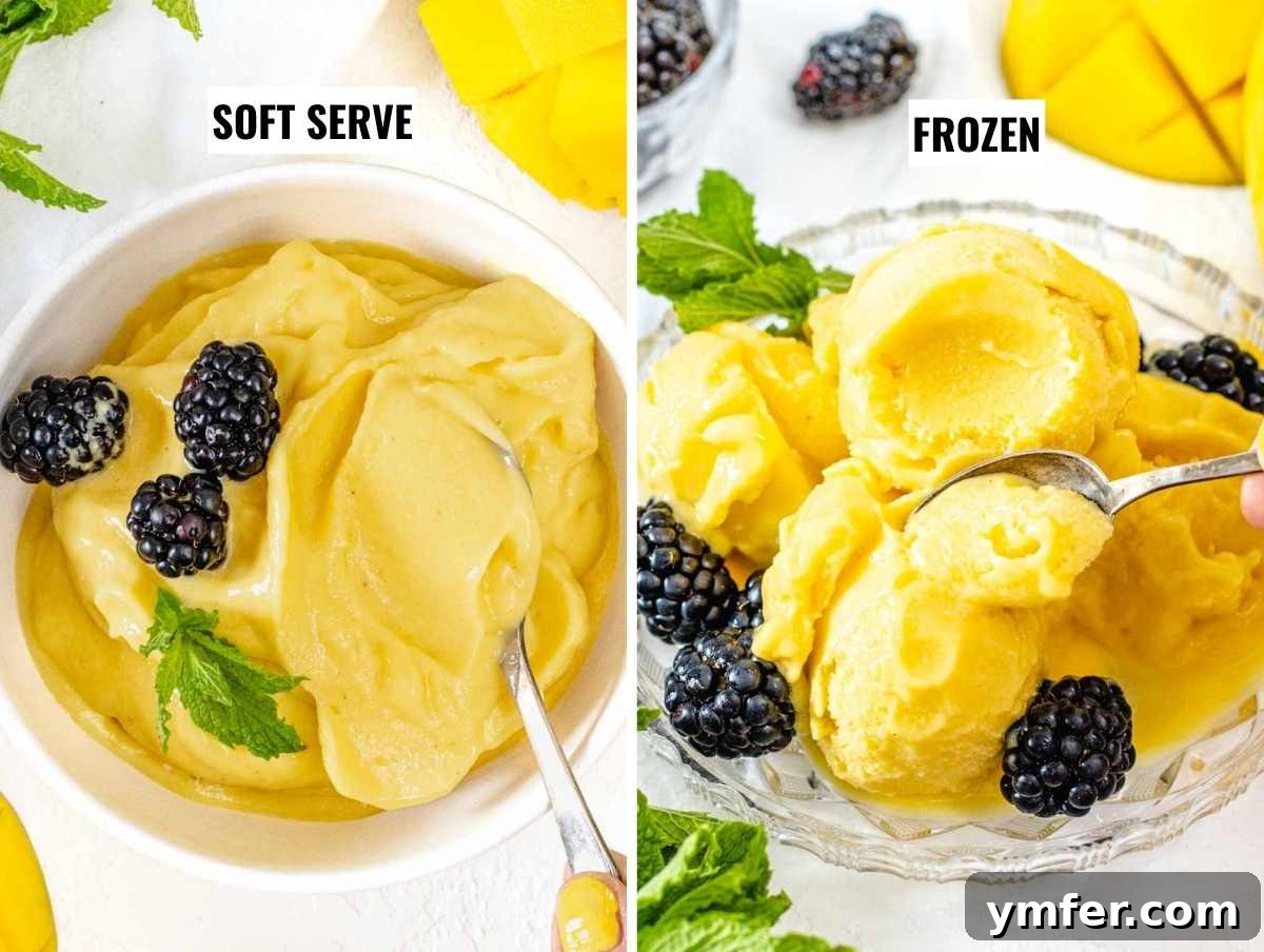 Two bowls of mango sorbet, one soft-serve style with blackberries, and another scoopable, firmer sorbet.