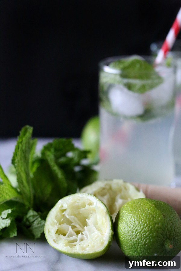 Island Coco Mojito 3 Close-up of a Coconut Mojito with ice and lime wedges