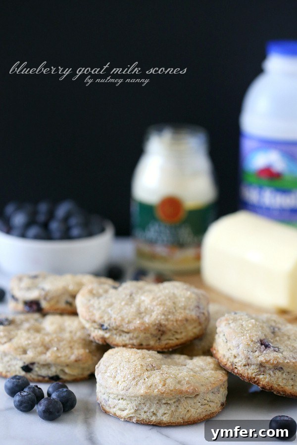 Blueberry Goat Milk Scones Recipe by Nutmeg Nanny Blueberry Goat Milk Scones Recipe by Nutmeg Nanny