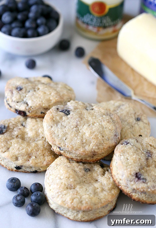 Blueberry Goat Milk Scones Recipe by Nutmeg Nanny Blueberry Goat Milk Scones Recipe by Nutmeg Nanny