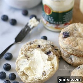 Farmhouse Blueberry Goat Milk Scones 2 img 7648 4