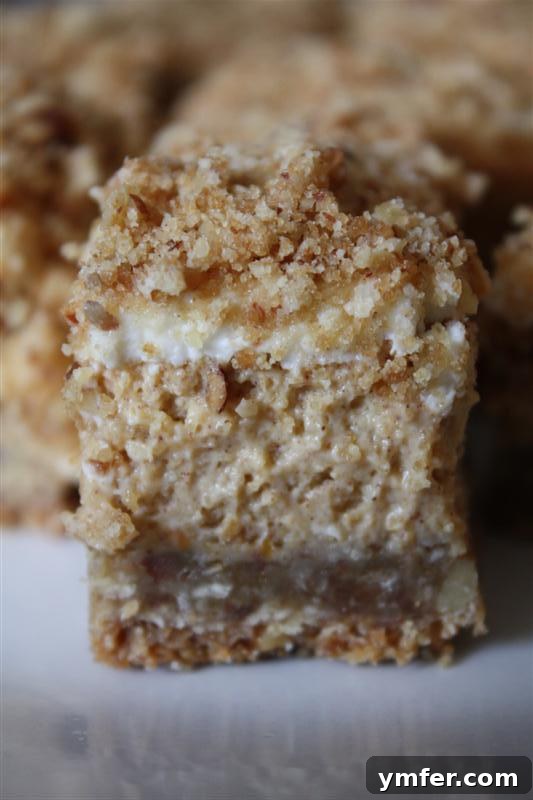 Delicious Pumpkin Cheesecake Crumble Squares, a perfect fall dessert.