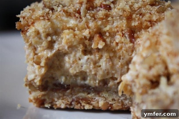 A slice of Pumpkin Cheesecake Crumble Square, showing layers of crust, filling, and topping.