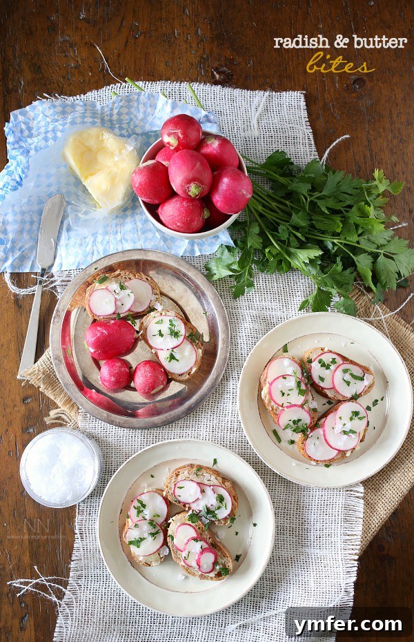 Radish and Butter Bites by Nutmeg Nanny Crisp Radish and Butter Bites on French Bread