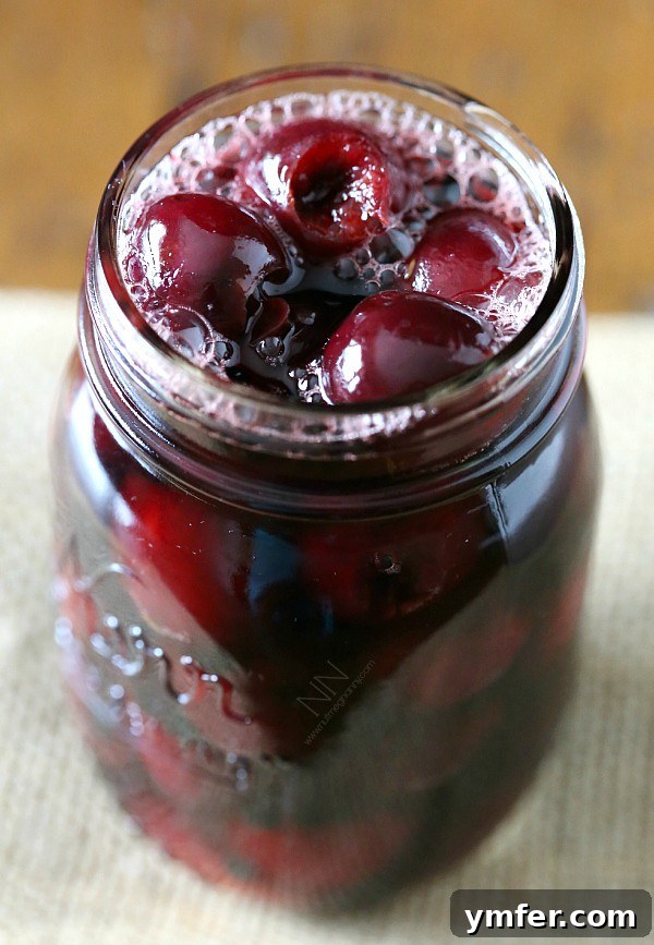 Gourmet Pickled Cherries 4 A quart glass jar filled with vibrant, beautifully preserved pickled cherries, ready for the refrigerator.