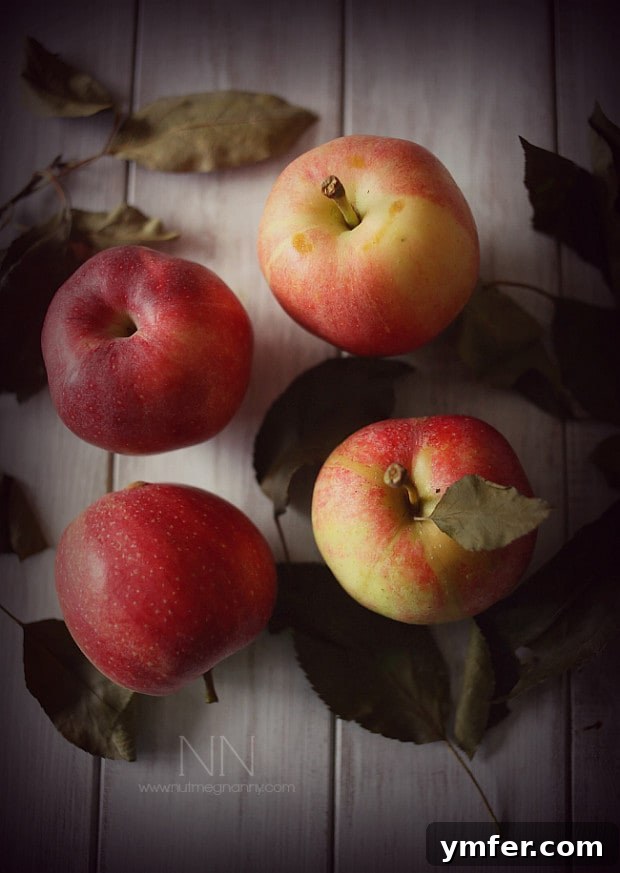 This sweet herbed applesauce is packed full of fresh fall apples. thyme and rosemary. It pairs perfectly with savory dishes and is great for Thanksgiving. This sweet herbed applesauce is packed full of fresh fall apples, thyme and rosemary. It pairs perfectly with savory dishes and is great for Thanksgiving.