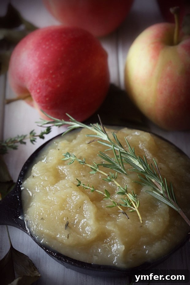 This sweet herbed applesauce is packed full of fresh fall apples, thyme and rosemary. It pairs perfectly with savory dishes and is great for Thanksgiving. This sweet herbed applesauce is packed full of fresh fall apples, thyme and rosemary. It pairs perfectly with savory dishes and is great for Thanksgiving.