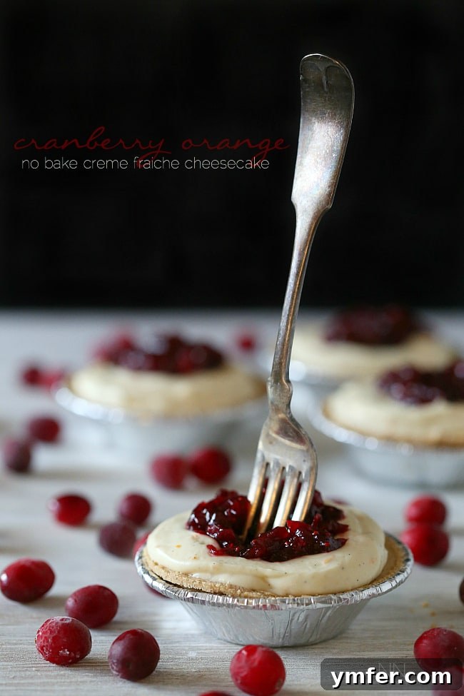 Cranberry Orange No-Bake Crème Fraîche Cheesecake for Festive Celebrations A vibrant cranberry orange no-bake crème fraîche cheesecake with a crumbly crust, perfect for holiday menus