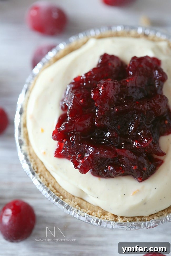 Cranberry Orange No-Bake Crème Fraîche Cheesecake – Easy Holiday Recipe An array of mini cranberry orange no-bake crème fraîche cheesecakes, ready to be served as a festive dessert