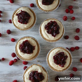 Tangy Cranberry Orange No Bake Creme Fraiche Cheesecake 2 img 8413 4
