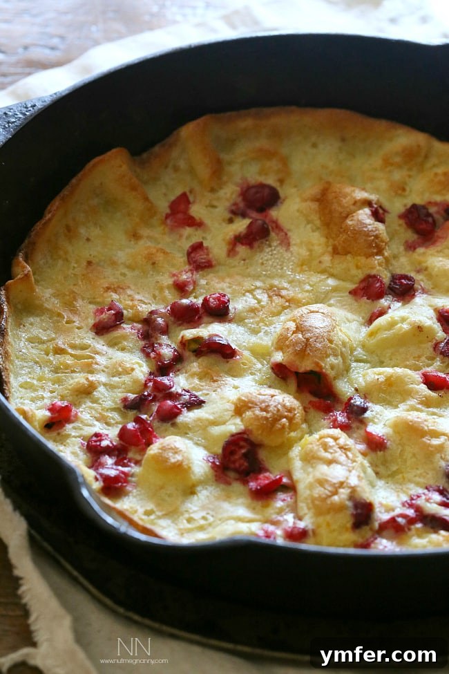 Easy Cranberry Orange Dutch Baby Recipe This cranberry orange Dutch baby is the highlight of your holiday season eating. Full of tart fresh cranberries and zesty orange flavor. Say hello to delicious!
