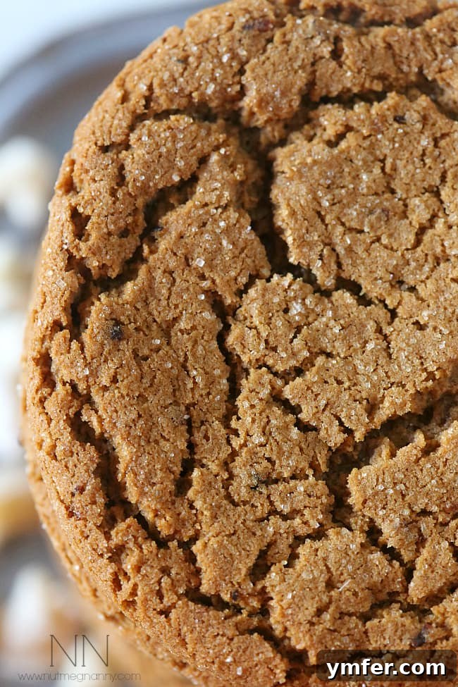Zingy Ginger Raisin Molasses Cookies 4 A festive display of molasses ginger raisin cookies, garnished for the holidays.