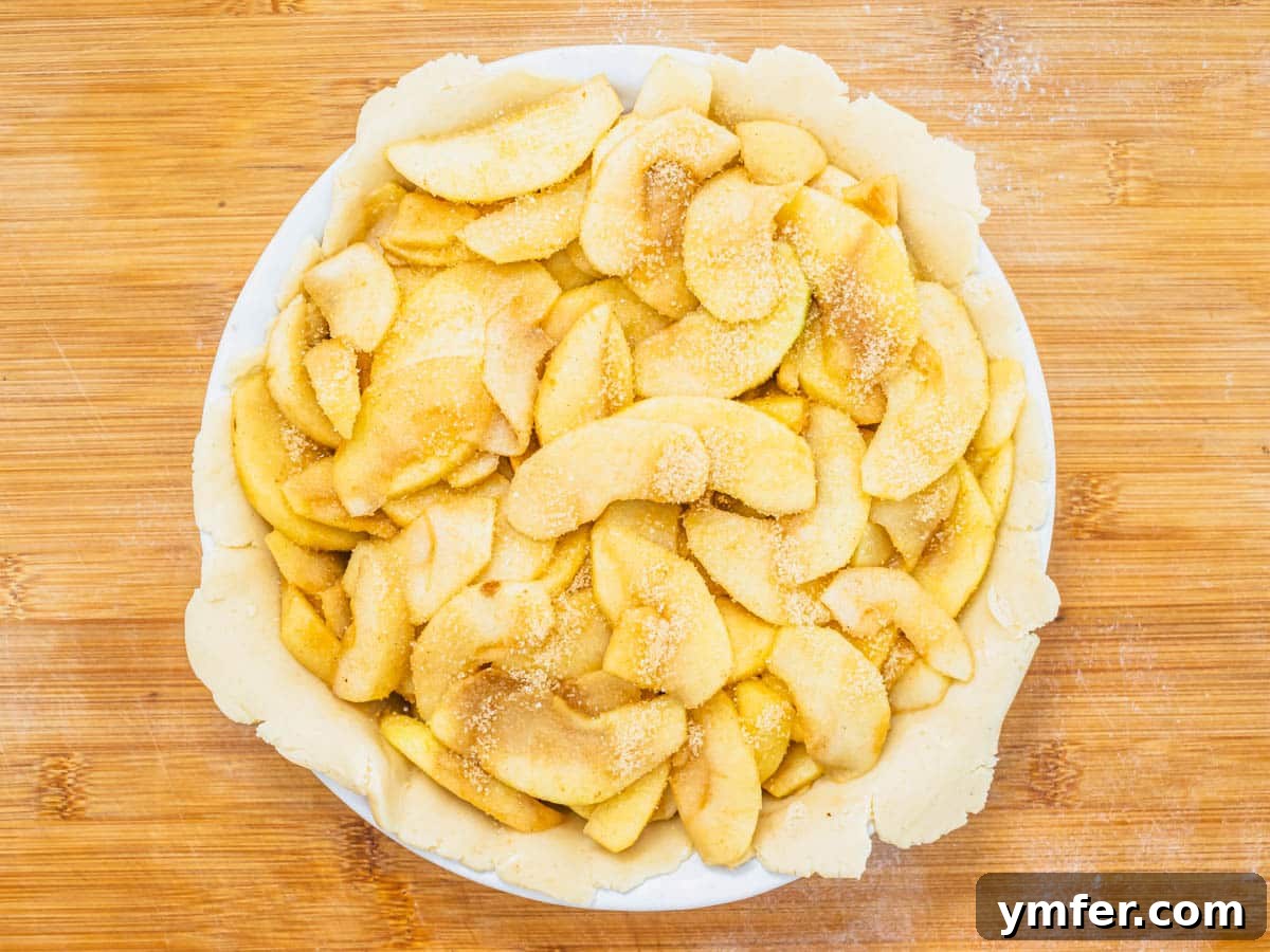 Plant-Based Apple Perfection 11 vegan pie crust with sliced apples in a pie plate