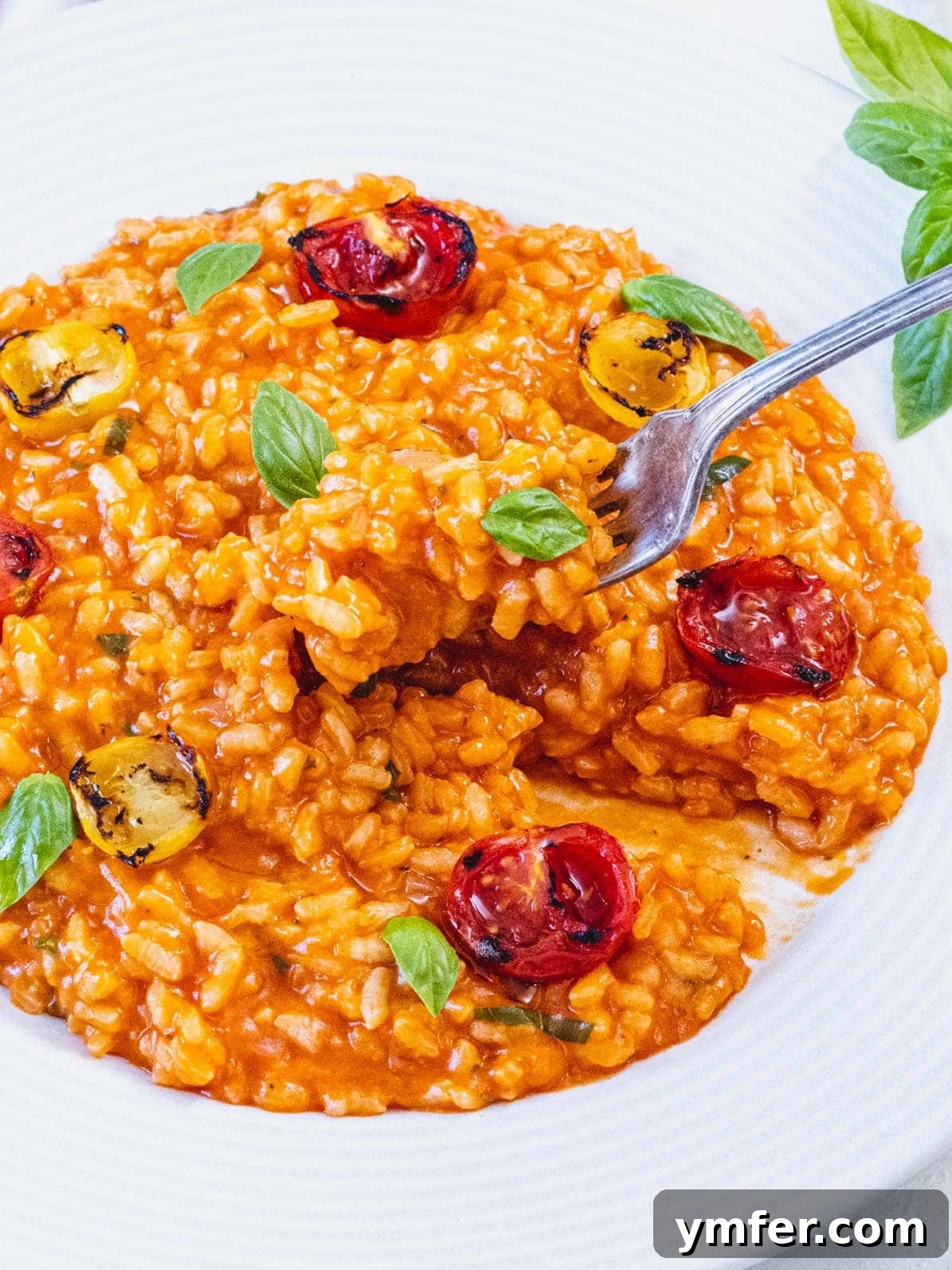 Sun-Kissed Tomato Risotto 2 Tomato risotto plated with fork and basil leaves