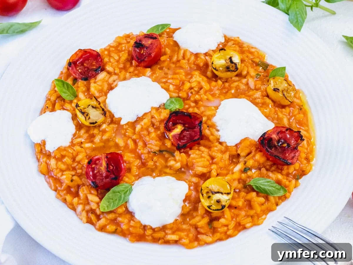 Sun-Kissed Tomato Risotto 18 Tomato risotto recipe with burrata