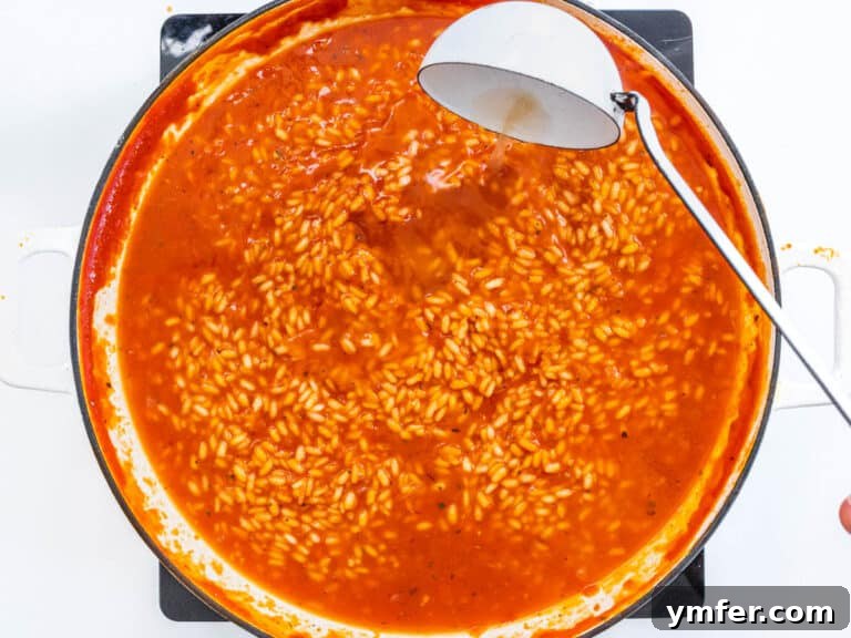 vegetable broth and white laddle