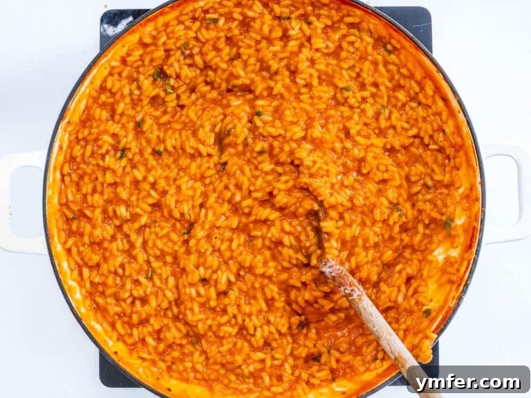 creamy tomato risotto with spoon