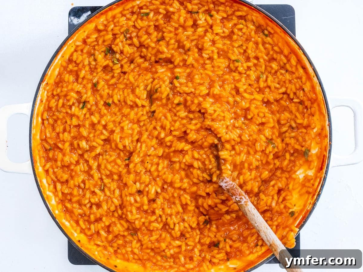 Sun-Kissed Tomato Risotto 10 creamy tomato risotto with spoon