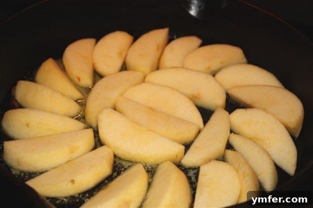 Skillet Cinnamon Apples with Ice Cream - A perfect dessert pairing
