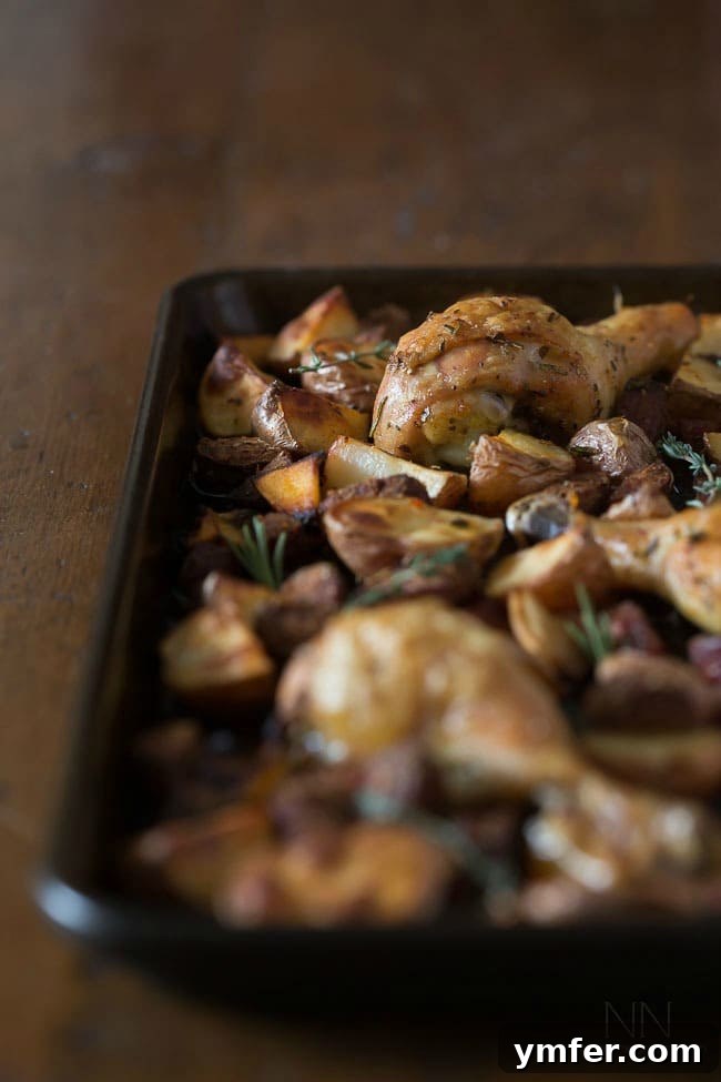 This simple chicken andouille potato bake is perfectly seasoned with fresh herbs and a burst of lemon. It's the perfect balance of flavorful spice. This simple chicken andouille potato bake is perfectly seasoned with fresh herbs and a burst of lemon. It's the perfect balance of flavorful spice.