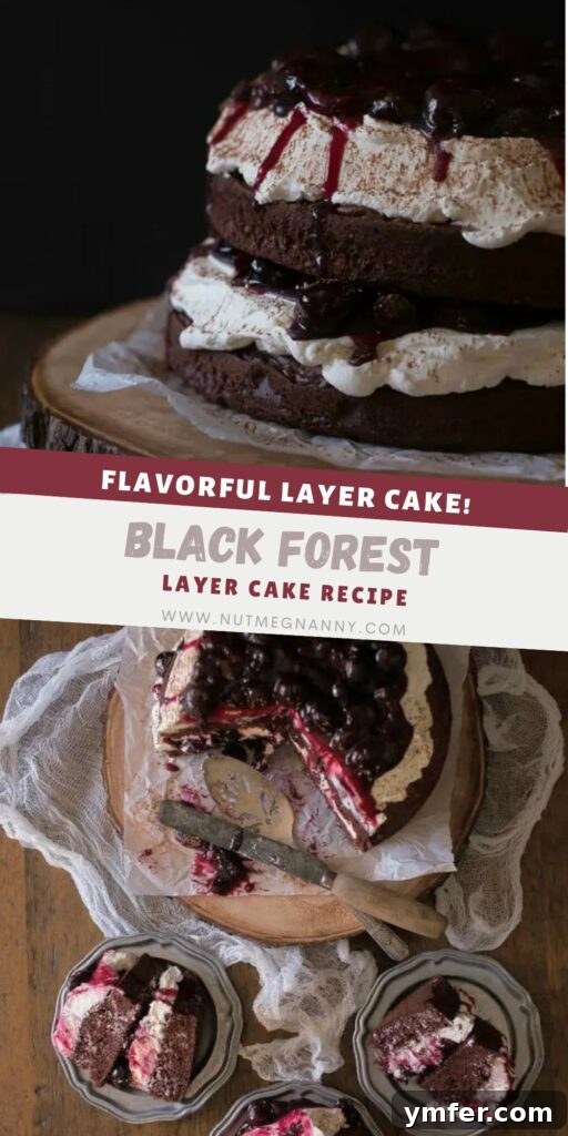 A stunning close-up of a layered Black Forest Cake, perfect for pinning and sharing.