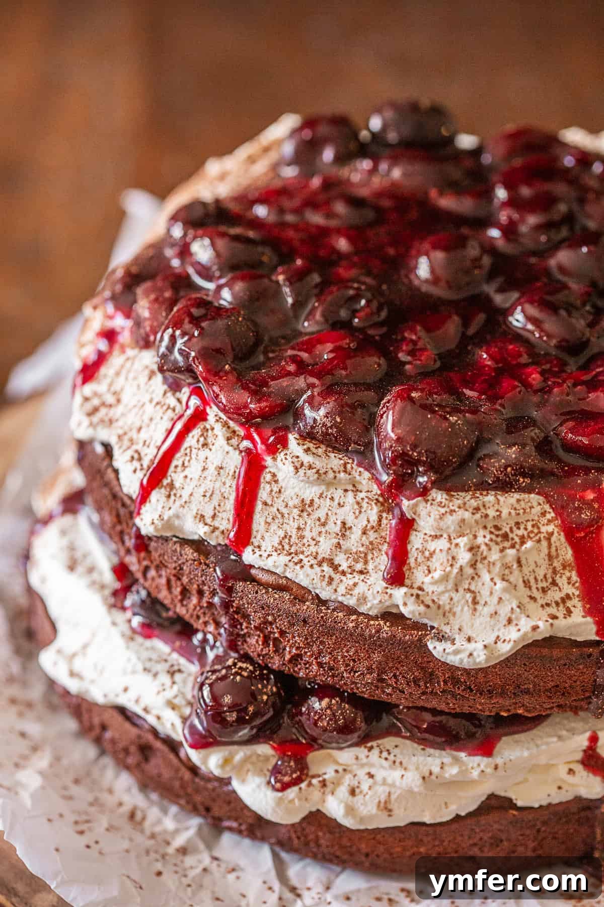 Close-up shot of Black Forest Cake sprinkled with cocoa powder, highlighting the rich chocolate and creamy texture.